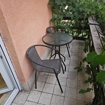 Apartmani,,drljaca,,1 Apartment Soko Banja
